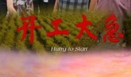 开工大急在线观看,在线观看，开启全新征程